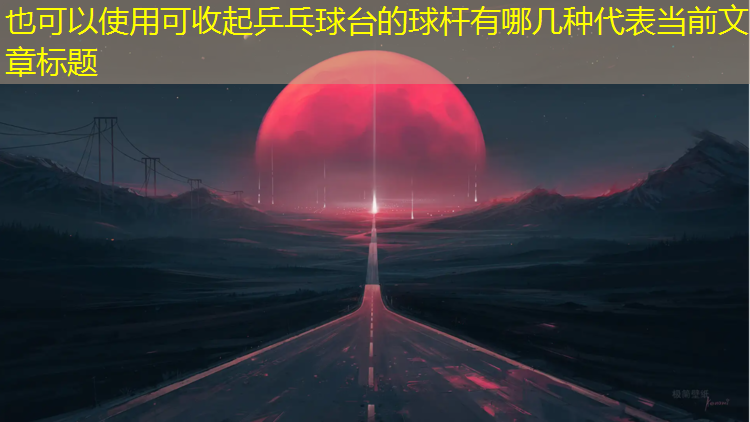 可收起乒乓球台的球杆有哪几种