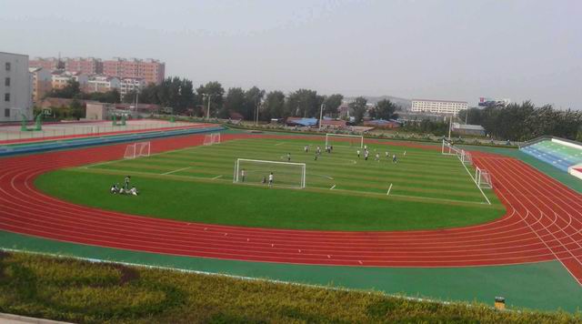 人工草坪足球场